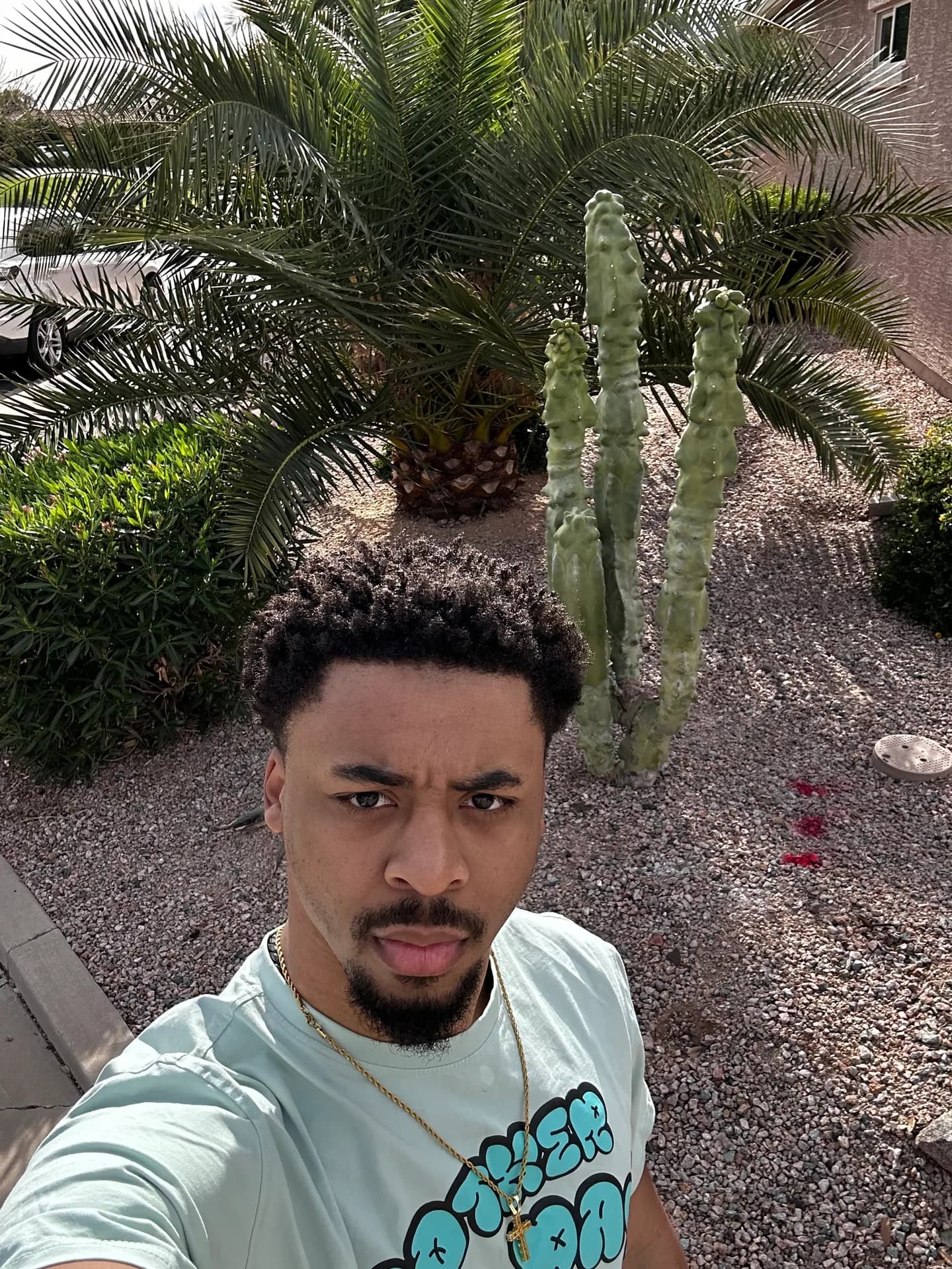 Stars in IN Early Collab photo 2